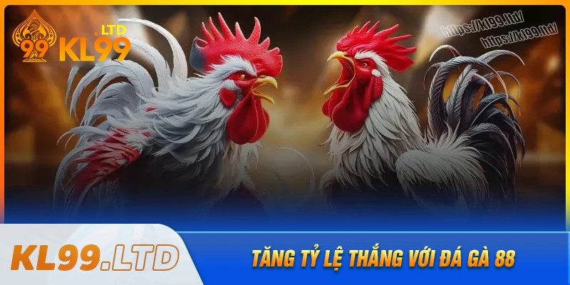 Chiến lược cá cược đá gà 88 giúp tăng tỷ lệ thắng
