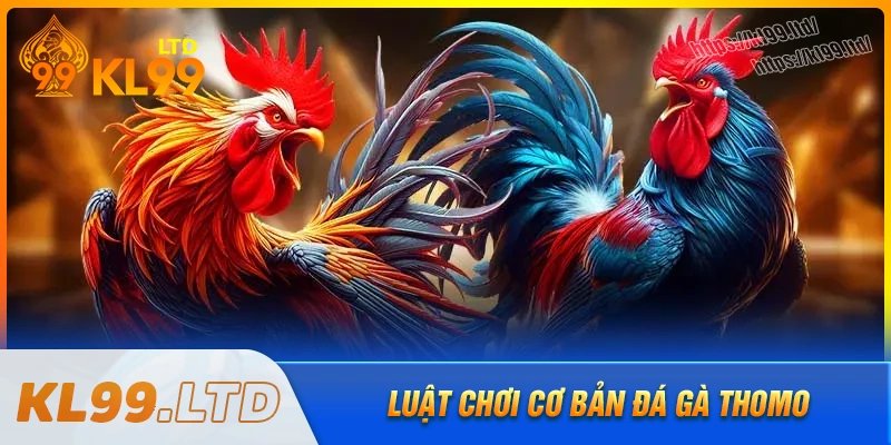 Luật chơi đá gà thomo mà người chơi tại kl99 cần biết 