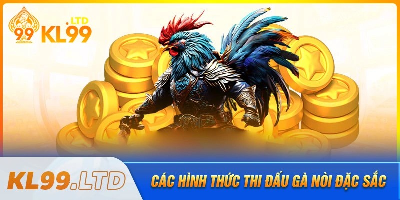Các hình thức thi đấu gà nòi đặc sắc