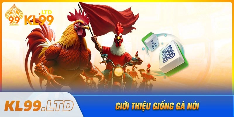 Gà nòi là giống gà như thế nào?